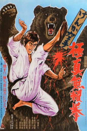 Okładka filmu Karate Bearfighter