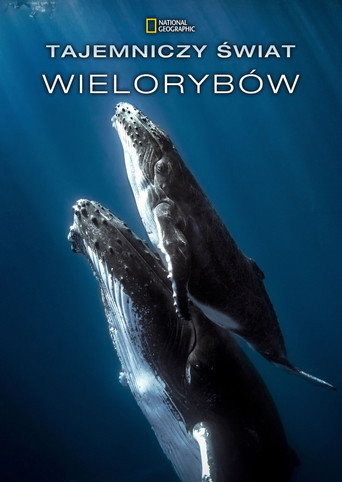 Okładka filmu Tajemniczy świat wielorybów