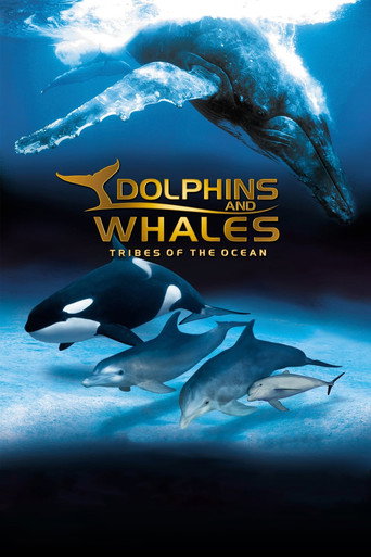 Okładka filmu Delfiny i wieloryby 3D. Plemiona oceanów
