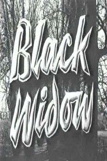 Okładka filmu Black Widow