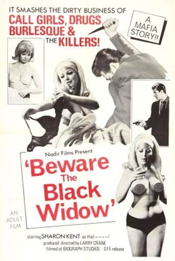 Okładka filmu Obsada filmu Beware the Black Widow