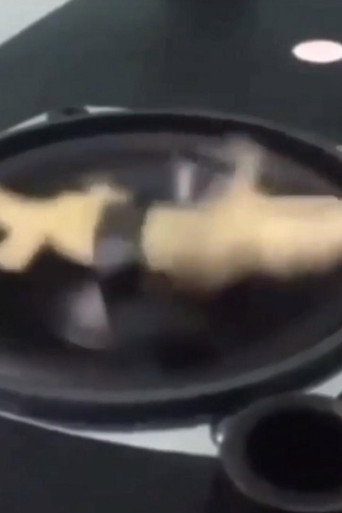 Okładka filmu Obsada filmu Lizzie