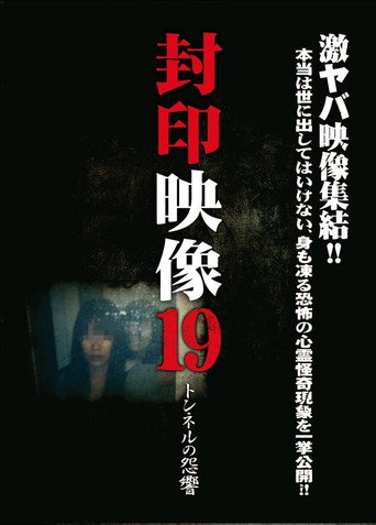 Okładka filmu 封印映像19 トンネルの怨響