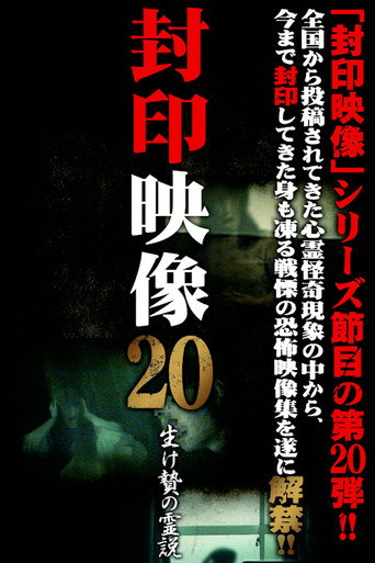 Okładka filmu 封印映像20 生け贄の霊説