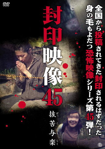 Okładka filmu 封印映像45 抜苦与楽