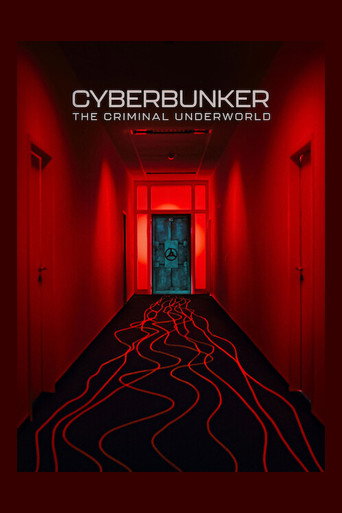 CyberBunker: Przestępcze podziemie