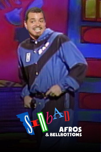 Okładka filmu Sinbad: Afros and Bellbottoms