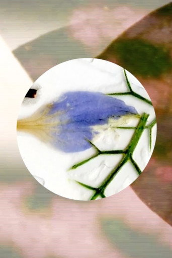 Okładka filmu Nature’s Optical Toy