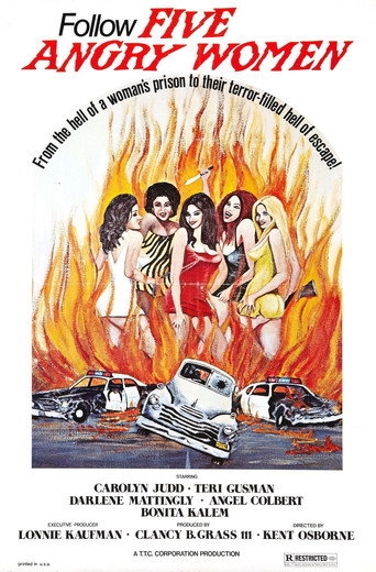 Okładka filmu Obsada filmu Women Unchained