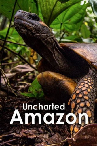 Okładka filmu Uncharted Amazon