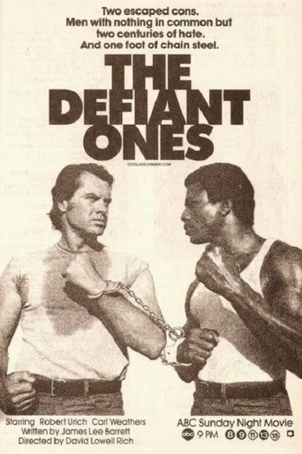 Okładka filmu The Defiant Ones