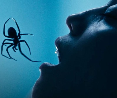 Zdjęcie okładkowe wpisu: Te pająki to nie Spider-Man. Inwazja pająków z nowym zwiastunem. Arachnofobicy powinni trzymać się z daleka