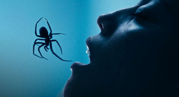 Zdjęcie okładkowe wpisu: Te pająki to nie Spider-Man. Inwazja pająków z nowym zwiastunem. Arachnofobicy powinni trzymać się z daleka
