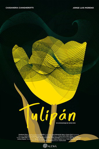 Okładka filmu Tulipán