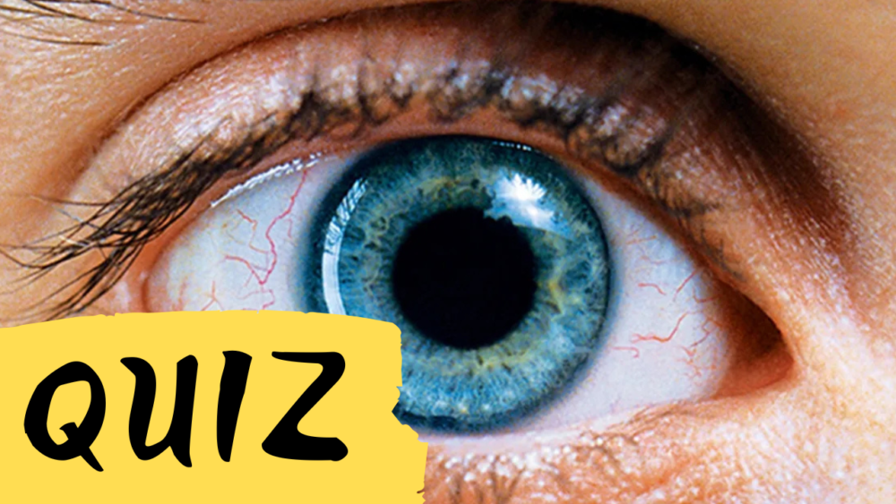 Zdjęcie okładkowe wpisu: QUIZ: Zgadnij film po trzech wskazówkach