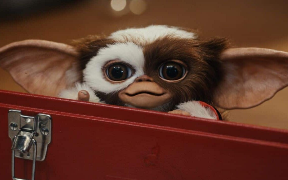 Gremliny powracają z trzecią częścią! Gizmo w oficjalnym zwiastunie!